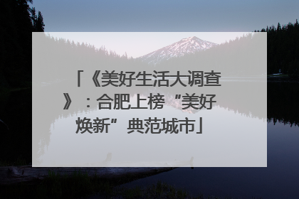 《美好生活大调查》：合肥上榜“美好焕新”典范城市