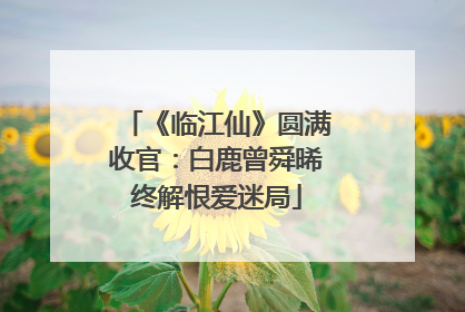 《临江仙》圆满收官：白鹿曾舜晞终解恨爱迷局