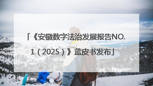 《安徽数字法治发展报告NO.1（2025）》蓝皮书发布