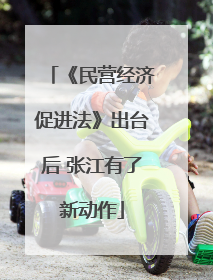 《民营经济促进法》出台后 张江有了新动作