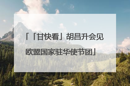 「甘快看」胡昌升会见欧盟国家驻华使节团