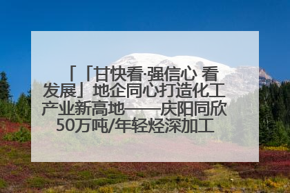 「甘快看·强信心 看发展」地企同心打造化工产业新高地——庆阳同欣50万吨/年轻烃深加工项目建设见闻