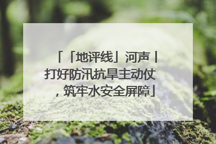 「地评线」河声丨打好防汛抗旱主动仗，筑牢水安全屏障