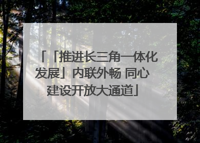 「推进长三角一体化发展」内联外畅 同心建设开放大通道