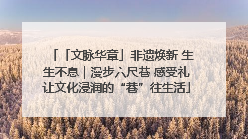 「文脉华章」非遗焕新 生生不息｜漫步六尺巷 感受礼让文化浸润的“巷”往生活