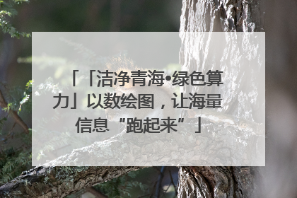「洁净青海•绿色算力」以数绘图，让海量信息“跑起来”