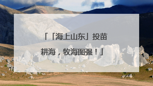 「海上山东」投苗耕海，牧海图强！