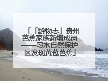 「黔物志」贵州芭蕉家族新增成员——习水自然保护区发现黄苞芭蕉
