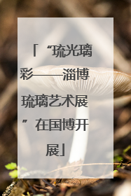 “琉光璃彩——淄博琉璃艺术展”在国博开展