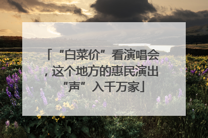 “白菜价”看演唱会，这个地方的惠民演出“声”入千万家