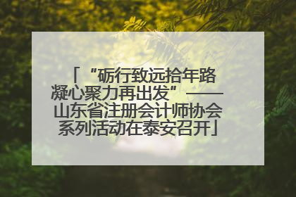 “砺行致远拾年路 凝心聚力再出发”——山东省注册会计师协会系列活动在泰安召开
