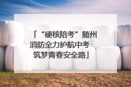 “硬核陪考”随州消防全力护航中考 筑梦青春安全路