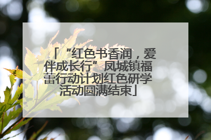“红色书香润，爱伴成长行”凤城镇福蕾行动计划红色研学活动圆满结束