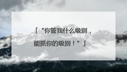 “你管我什么级别，能抓你的级别！”
