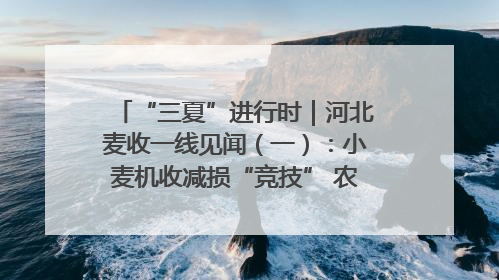 “三夏”进行时｜河北麦收一线见闻（一）：小麦机收减损“竞技” 农机高手麦田“过招”