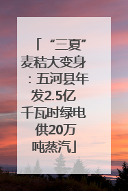 “三夏”麦秸大变身：五河县年发2.5亿千瓦时绿电 供20万吨蒸汽