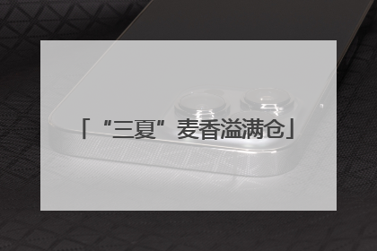 “三夏”麦香溢满仓