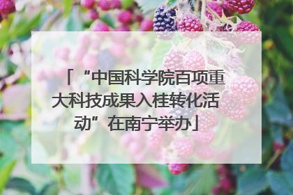 “中国科学院百项重大科技成果入桂转化活动”在南宁举办
