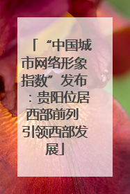 “中国城市网络形象指数”发布：贵阳位居西部前列 引领西部发展