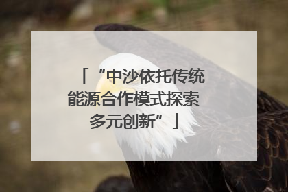 “中沙依托传统能源合作模式探索多元创新”