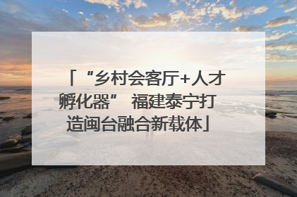 “乡村会客厅+人才孵化器” 福建泰宁打造闽台融合新载体
