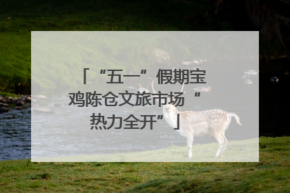 “五一”假期宝鸡陈仓文旅市场“热力全开”