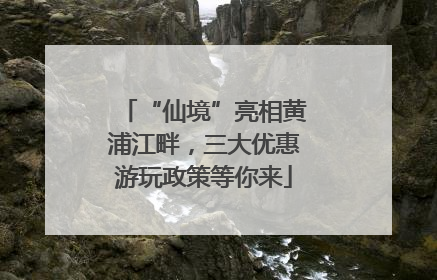 “仙境”亮相黄浦江畔，三大优惠游玩政策等你来