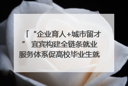 “企业育人+城市留才” 宜宾构建全链条就业服务体系促高校毕业生就业｜您牵挂的四川
