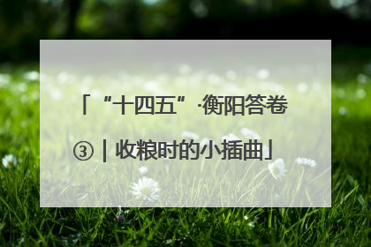 “十四五”·衡阳答卷③｜收粮时的小插曲