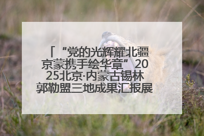 “党的光辉耀北疆 京蒙携手绘华章”2025北京·内蒙古锡林郭勒盟三地成果汇报展系列活动启动