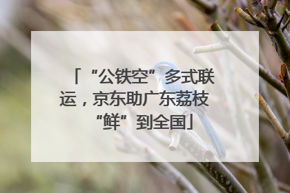 “公铁空”多式联运，京东助广东荔枝“鲜”到全国