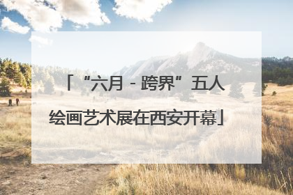 “六月 - 跨界”五人绘画艺术展在西安开幕