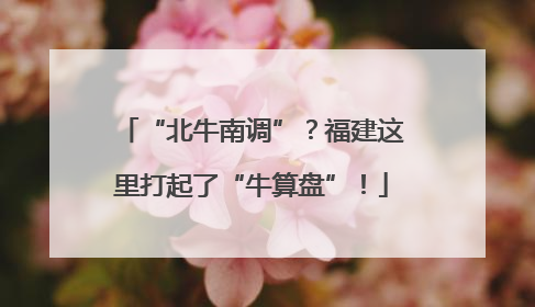 “北牛南调”？福建这里打起了“牛算盘”！