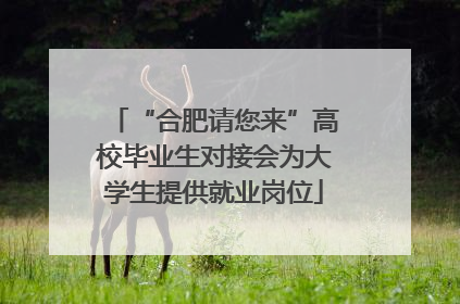 “合肥请您来”高校毕业生对接会为大学生提供就业岗位