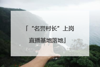 “名誉村长”上岗 直播基地落地