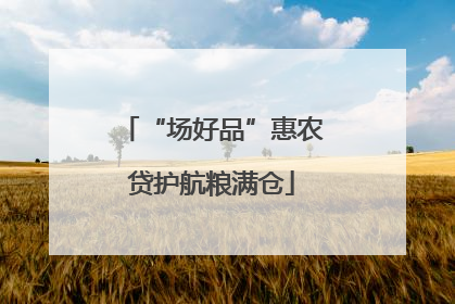 “场好品”惠农贷护航粮满仓