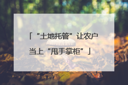 “土地托管”让农户当上“甩手掌柜”
