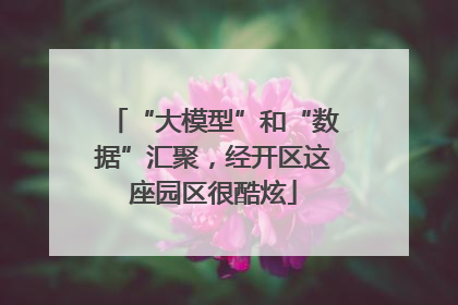 “大模型”和“数据”汇聚，经开区这座园区很酷炫
