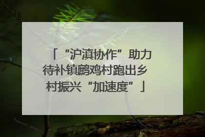“沪滇协作”助力待补镇鹧鸡村跑出乡村振兴“加速度”