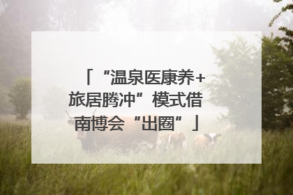 “温泉医康养+旅居腾冲”模式借南博会“出圈”