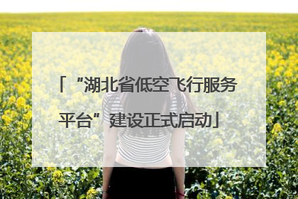 “湖北省低空飞行服务平台”建设正式启动