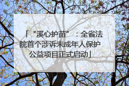 “溪心护苗”：全省法院首个涉诉未成年人保护公益项目正式启动