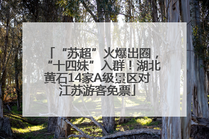 “苏超”火爆出圈，“十四妹”入群！湖北黄石14家A级景区对江苏游客免票