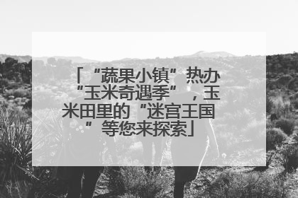 “蔬果小镇”热办“玉米奇遇季”，玉米田里的“迷宫王国”等您来探索