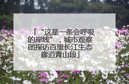 “这是一条会呼吸的岸线”，城市观察团探访百里长江生态廊道青山段