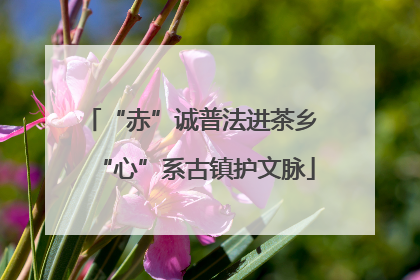 “赤”诚普法进茶乡 “心”系古镇护文脉