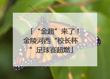 “金超”来了！金陵河西“校长杯”足球赛超燃