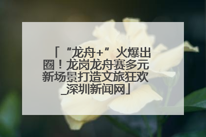 “龙舟+”火爆出圈！龙岗龙舟赛多元新场景打造文旅狂欢_深圳新闻网