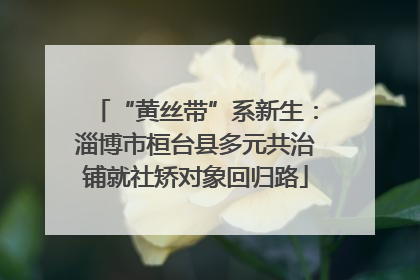 “黄丝带”系新生：淄博市桓台县多元共治铺就社矫对象回归路