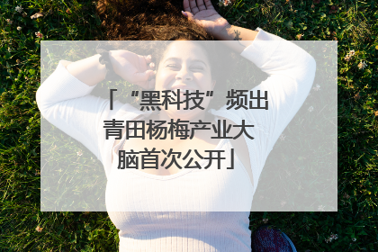 “黑科技”频出 青田杨梅产业大脑首次公开